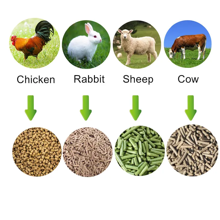 Animal feed