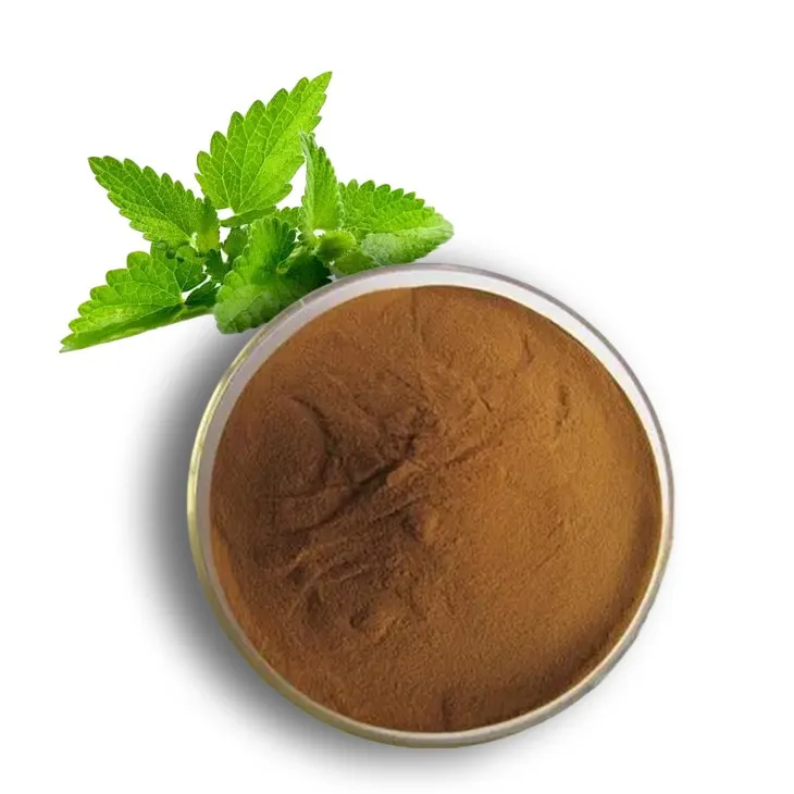 What is Peppermint extract powder？