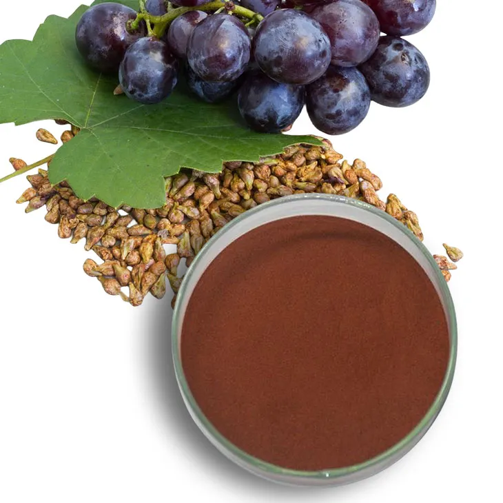 Selected Top Ten Grape Seed Extract Powder Manufacturers in the World: High-Quality Recommendations