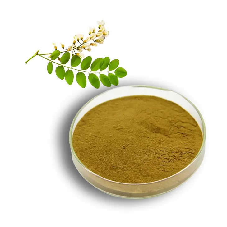 Manufacturing Excellence: Top 10 Sophora Japonica Flower Extract Manufacturers
