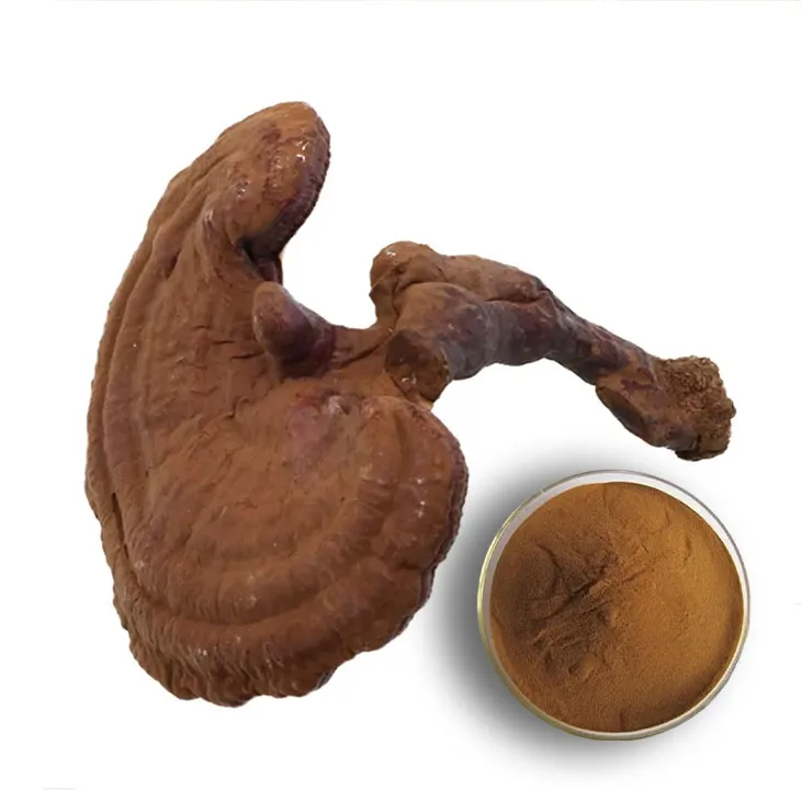 Ganoderma lucidum extract: the bridge between health care products and medicines
