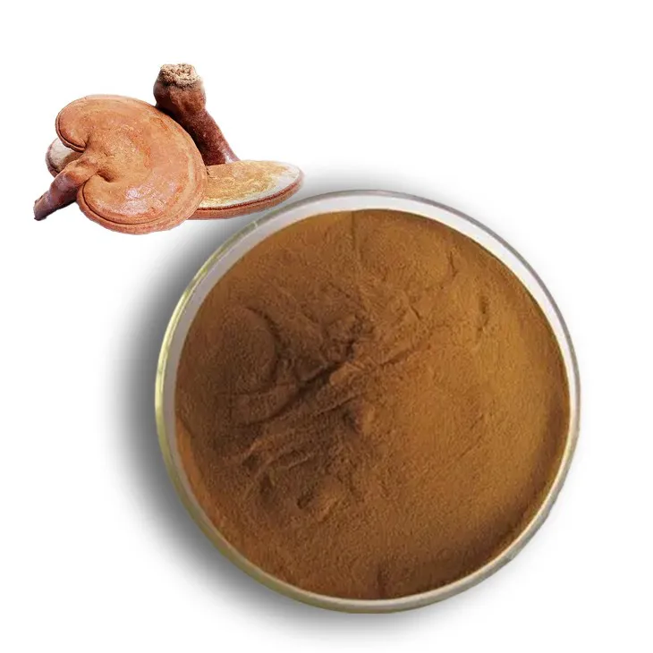 Ganoderma polysaccharides from a scientific perspective: new research and discoveries