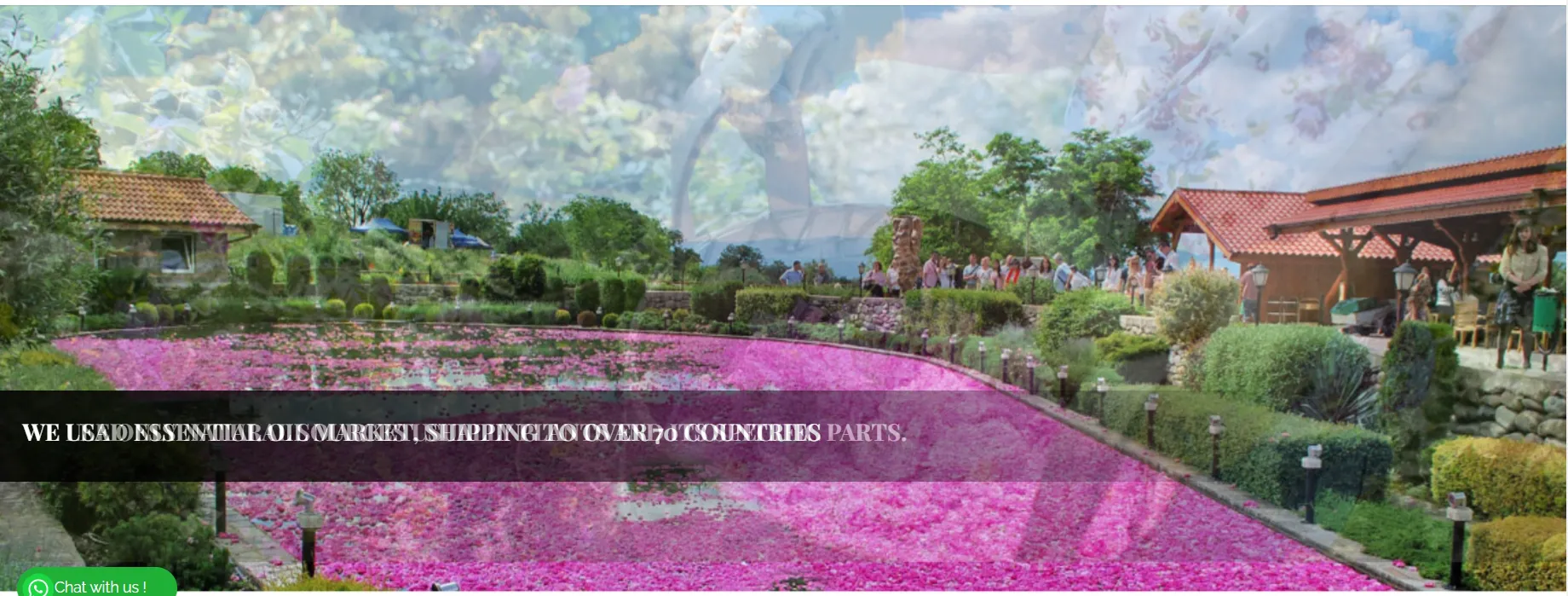 CO2 Extract Company CO2 Extract Company