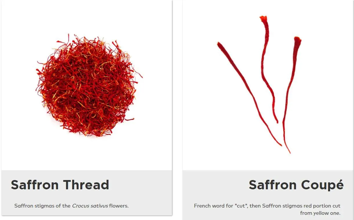 saffron extract saffron extract