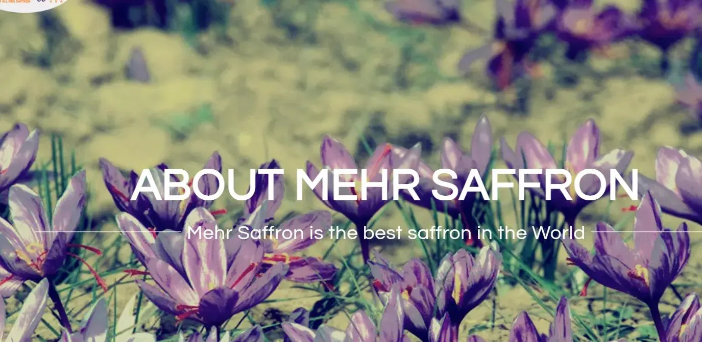 saffron extract saffron extract