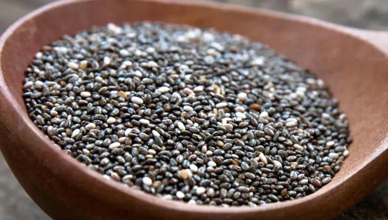 chia seed powder chia seed powder