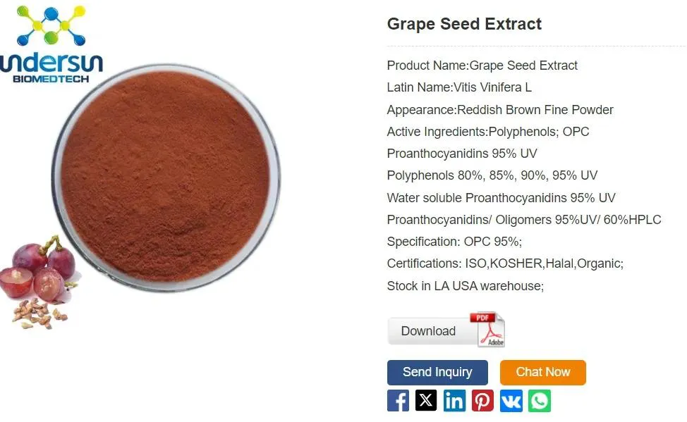 Grape seed extract powder Grape seed extract powder