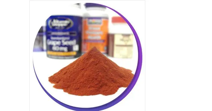 Grape seed extract powder Grape seed extract powder