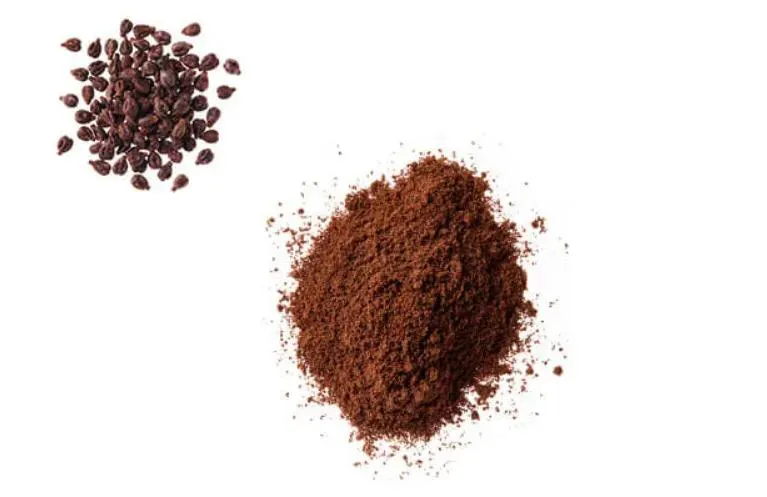 Grape seed extract powder Grape seed extract powder