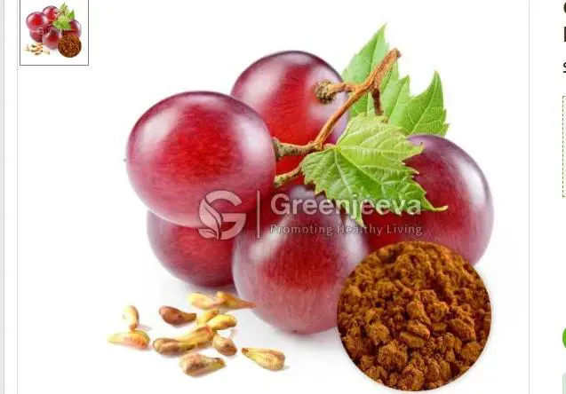 Grape seed extract powder Grape seed extract powder