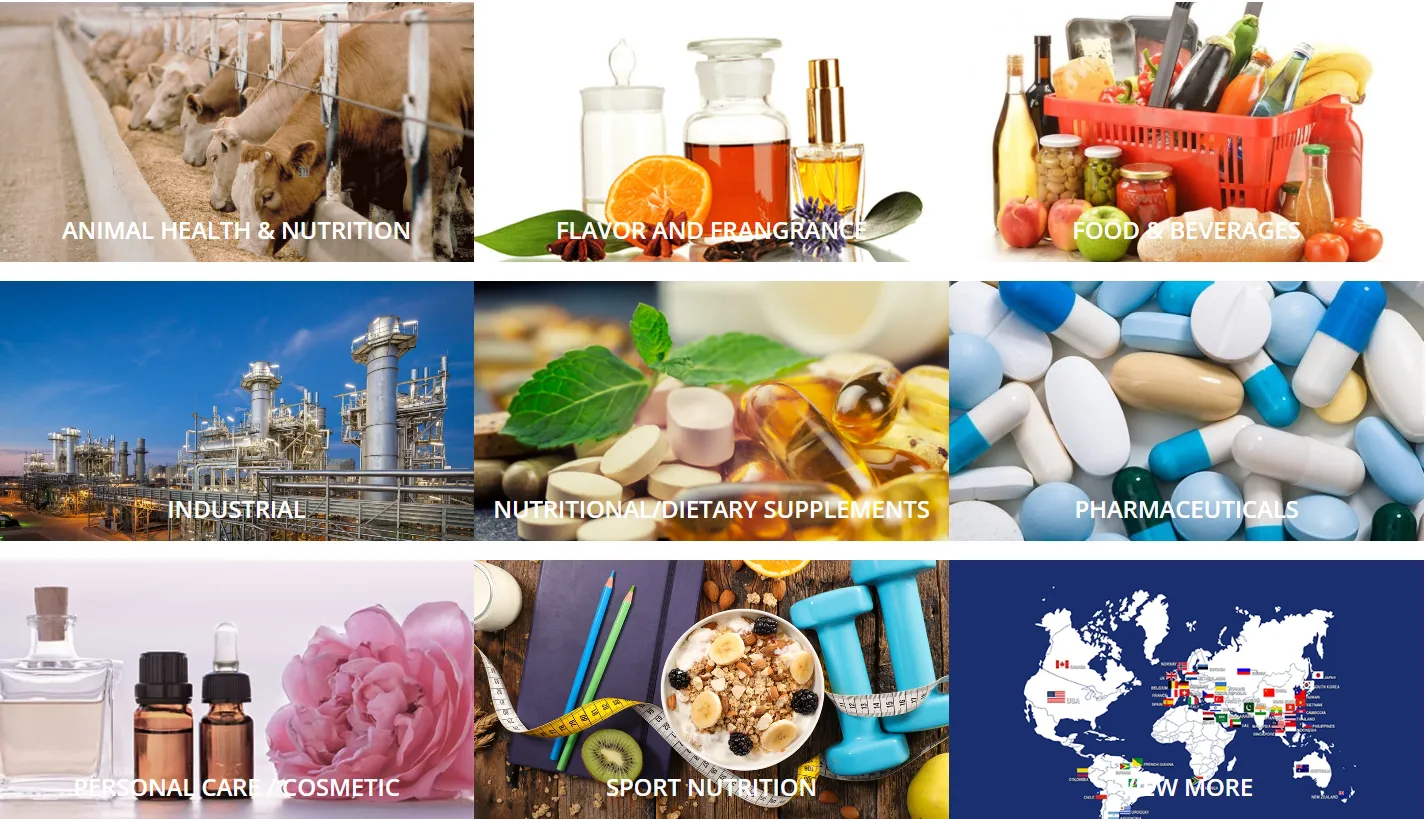 Global Chemicals Corp Global Chemicals Corp