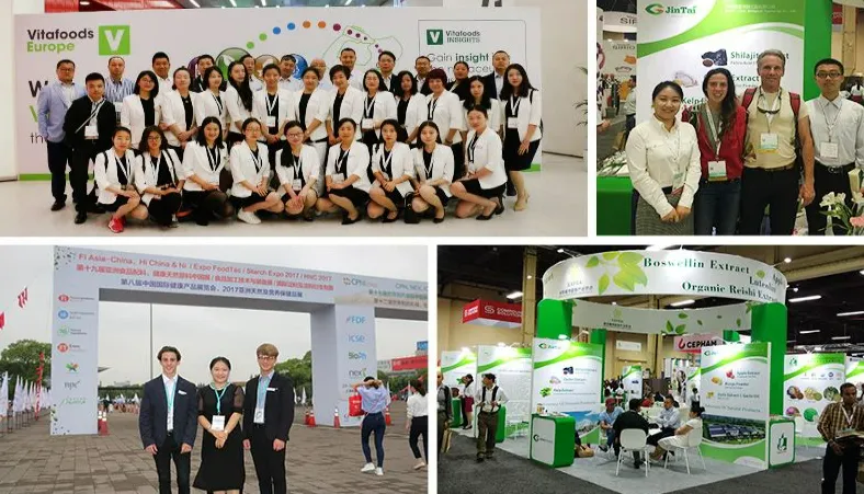 Shaanxi Jintai Bioengineering Co., Ltd. Shaanxi Jintai Bioengineering Co., Ltd.