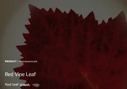 Red Vine Extract Red Vine Extract