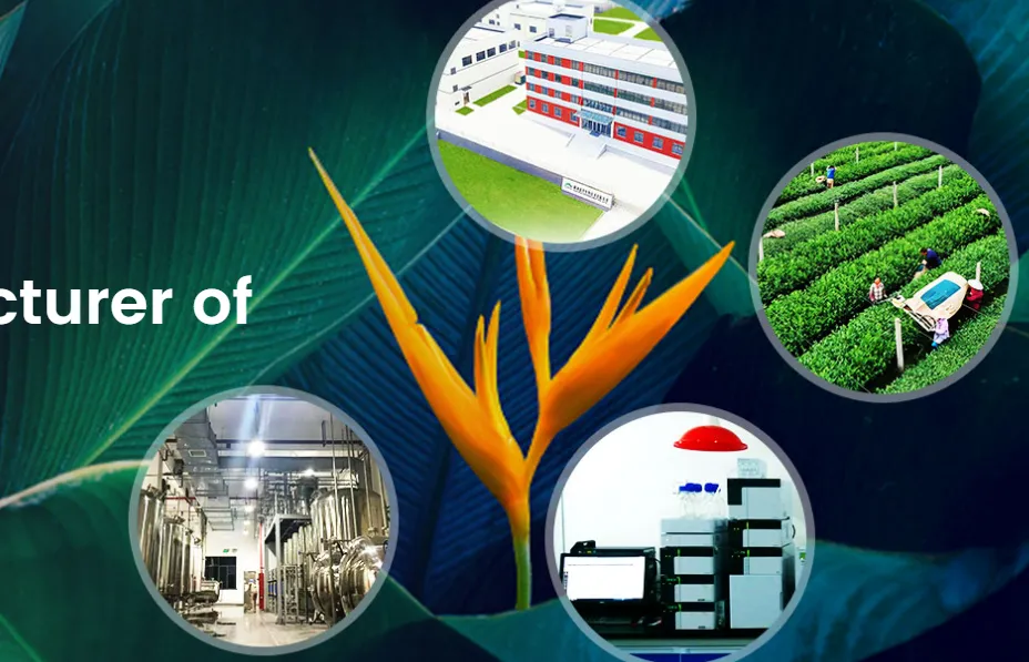 ACE Biotechnology