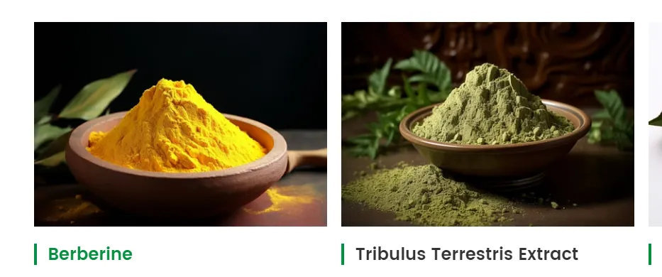 Sophora Japonica Flower Extract