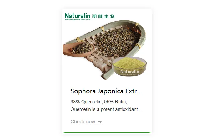 Sophora Japonica Flower Extract