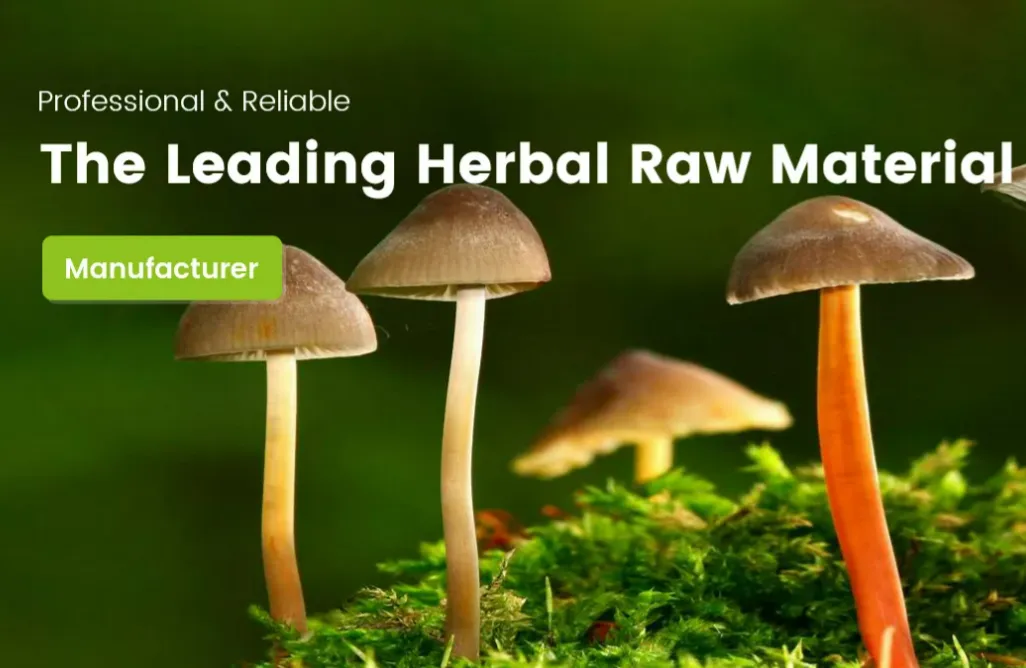 Life Herb