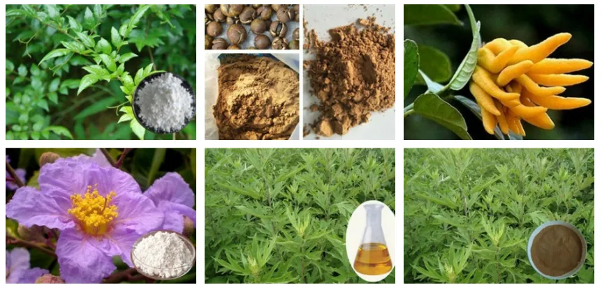 Fig Extract