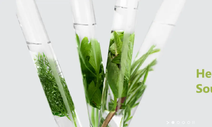 Shaanxi Sangherb Biotech Inc